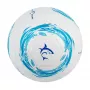 Jalkapallo White Shark TB-001 Dribbler 32-paneeli koko 5