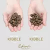 EDEN 80/20 Fish Cuisine Medium & Large - kuivaruoka koirille - 2kg