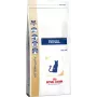 Royal Canin VHN Cat Renal kissojen kuivaruoka, 2 kg