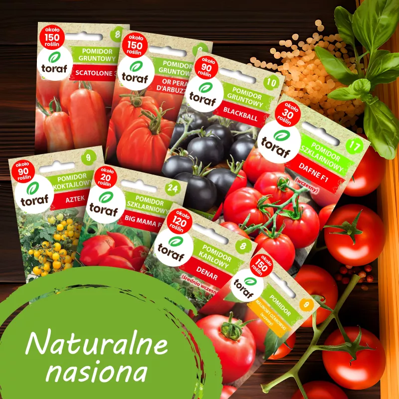 Toraf tomaatinsiemensetti Eden – 8 pakkausta