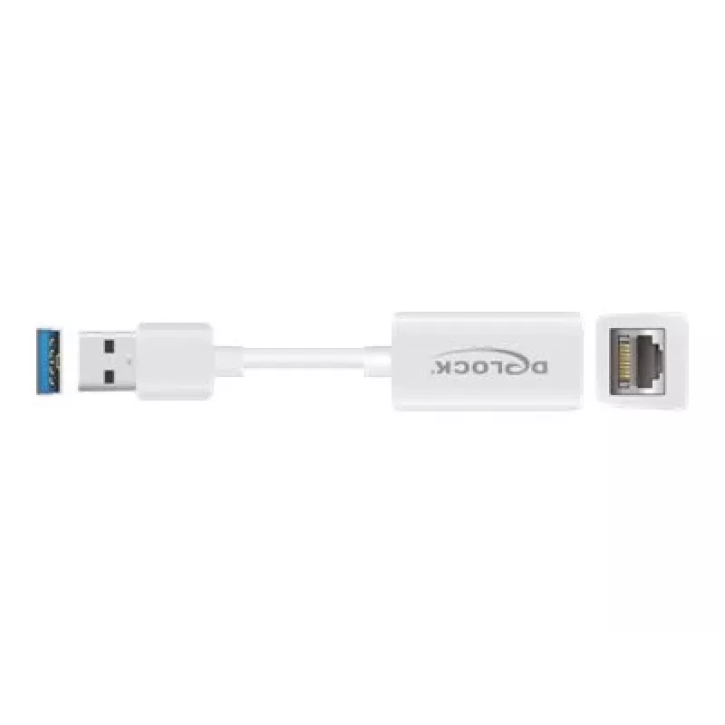 DeLOCK 65905 USB Type-A - Gigabit LAN -verkkosovitin, valkoinen