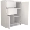 Topeshop 2D2S BIEL lipasto, valkoinen