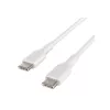 USB-kaapeli Belkin BoostCharge 1 m USB-C valkoinen USB 2.0