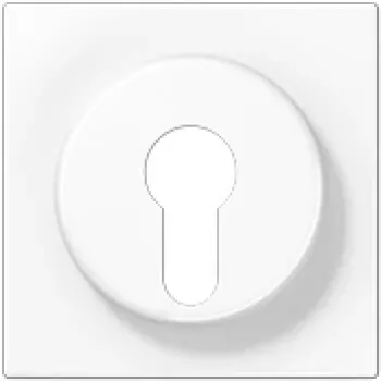 Peitelevy avainkatkaisijalle Jung LS 928 WW, valkoinen, IP44-yhteensopiva