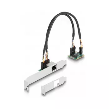 DeLOCK 95271 sisäinen verkkokortti 2500 Mbit/s Mini PCI Express