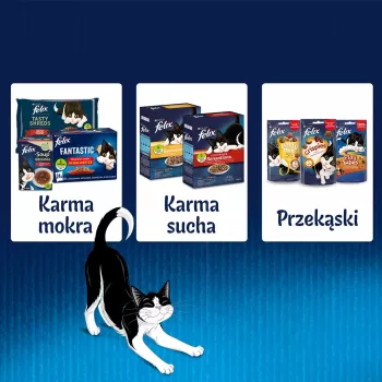 Felix Fantastic kanini, lammas - märkäruoka kissoille 340 g (4x 85 g)