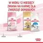 Royal Canin FHN Kitten kuivaruoka kissanpennuille, 4 kg