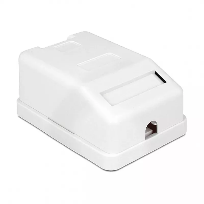 Delock 86235 Keystone-pinta-asennusrasia, 1 portti, pölysuojalla, valkoinen