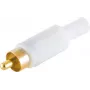 shiverpeaks BS51400-WG kaapeliliitin RCA valkoinen (BS51400-WG)