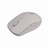 Canyon hiiri MW-12 Dualband langaton beige - hiiri - 2 400 dpi (CNS-CMSW12BG)