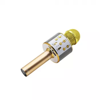 Mikrofoni MANTA MIC10-G kulta herttakuvio kannettava — kondensaattori herttakuvio, käsidesign