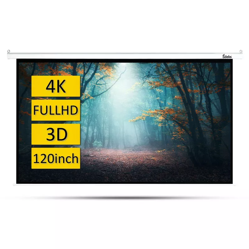 Projektiokangas silelis ESE-2 120 inch (183 x 244 cm) moottoroitu kaukosäätimellä