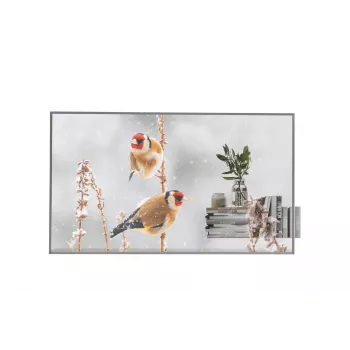 LG 55 inch läpinäkyvä OLED 55EW5P sisältäen One:Quick-Dongle