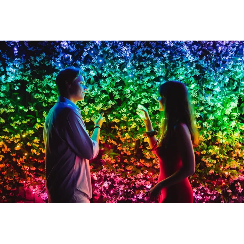 TWINKLY Strings 600 (TWS600STP-BEU) älykkäät joulukuusen valot 600 LED RGB 48 m