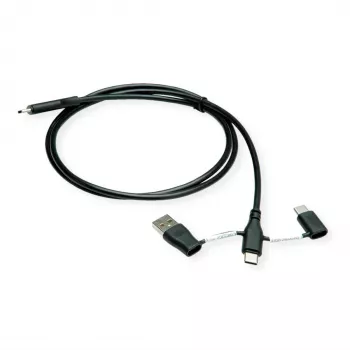 ROLINE USB 2.0 -kaapeli Type-C ST/ST datanestoadaptereilla A ja C - kaapeli - digitaali/data