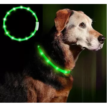 LED-panta Anicoll vihreä koirille ja kissoille malli ladattava valaistus