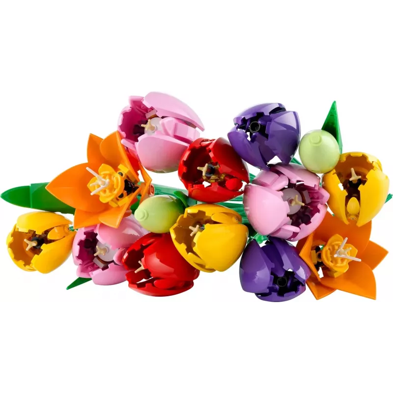 LEGO BOTANICALS 11501 Tulppaanikimppu