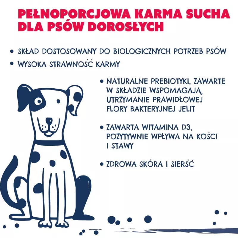 TEO reich an Rindfleisch - kuivaruoka koirille - 9kg