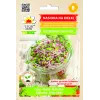 China Rose -retiisin siemenet idätykseen, 20 g pakkaus