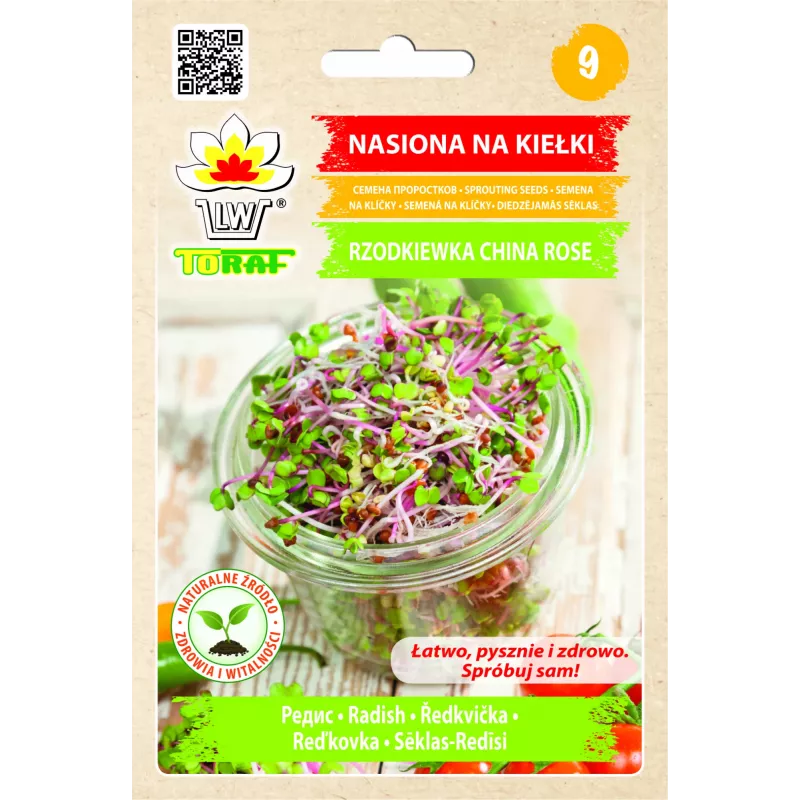 China Rose -retiisin siemenet idätykseen, 20 g pakkaus