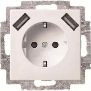 Busch-Jaeger SCHUKO 2-kertainen USB-pistorasia 20 EUCB2USB-914 (2CKA002011A6266)