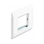 Moduulipidike DeLOCK Easy 45 80x80 mm valkoinen