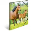 Kansio polypropeeni (PP) HERMA 7145 A3 monivärinen