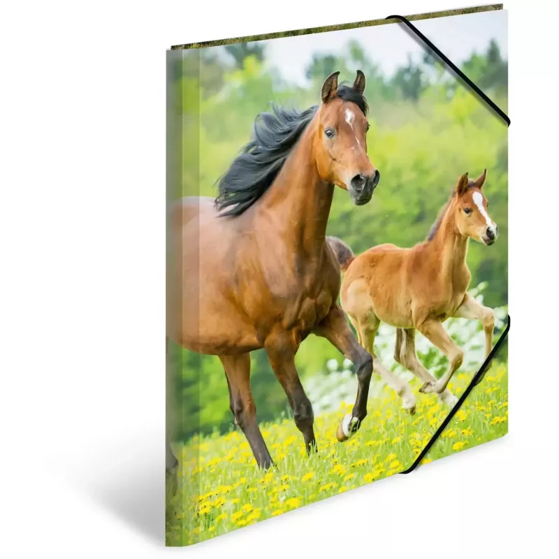 Kansio polypropeeni (PP) HERMA 7145 A3 monivärinen