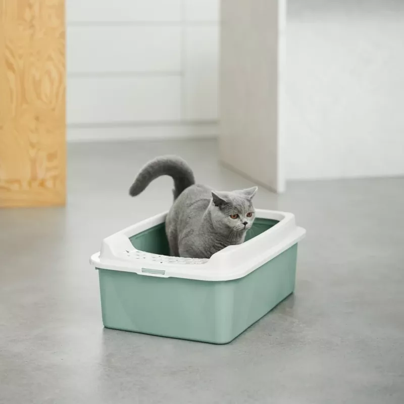 ROTHO Bonnie Eco Green - kissanvessa