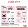 Royal Canin Kitten kissan kuivaruoka 2 kg