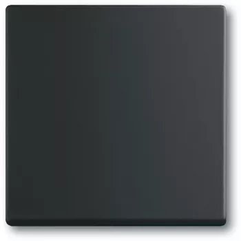 Valokytkin Busch-Jaeger 1751-0-3041, muovikotelo, musta, painikkeet, 63×63 mm