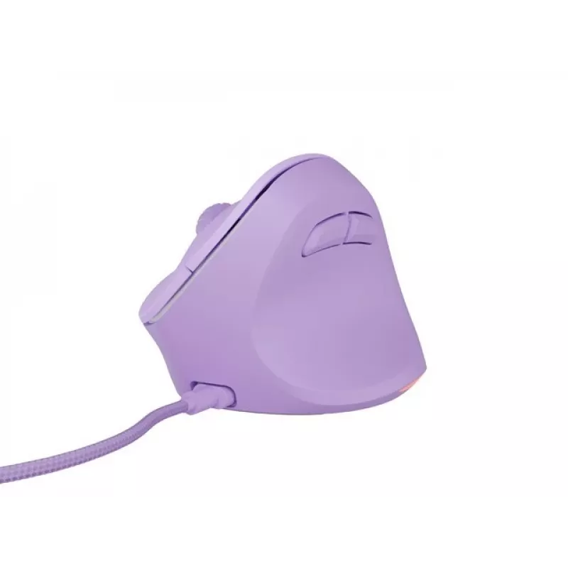 NATEC Crake 2 Pro hiiri yleinen oikeakätisille USB Type-A optinen 12800 DPI