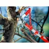 Amboss-oksasakset WOLF-Garten RC-M