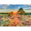 Schmidt Spiele palapeli Heide bei Sonnenuntergang, 1 000 palaa, maisemakuva