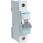 Hager MBN106. AC-tulotaajuus: 50/60 Hz, nimellislähtövirta: 6 A (MBN106)