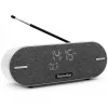 Technisat DigitRadio BT 2 vaaleanharmaa (0001/3973)