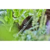 Letkuteline Gardena 13208-20 musta lattialle sijoitettava