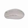Canyon hiiri MW-12 Dualband langaton beige - hiiri - 2 400 dpi (CNS-CMSW12BG)