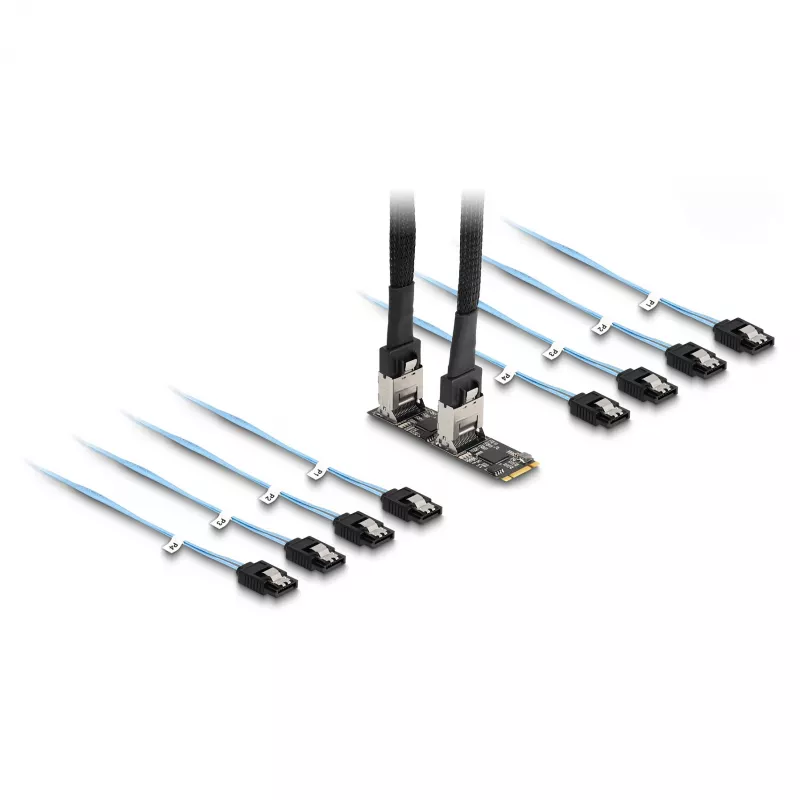 DeLOCK muunnin M.2 2280 Key B+M pistoke 8 x SATA