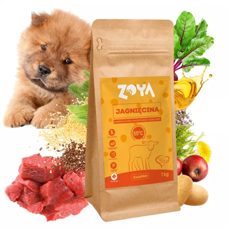 ZOYA ColdPRO lammas - kuivaruoka koirille - 1 kg