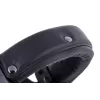 Kuulokkeet Beyerdynamic DT 770 PRO 250 OHM musta Limited Edition