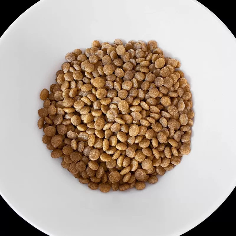 VET RESPONSE Hypoallergenic - kuivaruoka kissoille - 1,6 kg