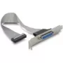 DeLOCK 84300 rinnakkaisportin paikkalevy, DB25 – IDC 26-napainen, 22 cm