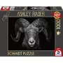 Ashley Rader: Dominance - Widder, Im Zeichen des Feuers, palapeli 1000 palaa