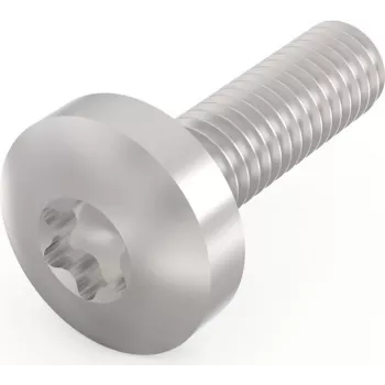 Schroff Pentair Techn. ruuvi 24560-130 VE100 (24560130)