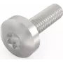 Schroff Pentair Techn. ruuvi 24560-130 VE100 (24560130)