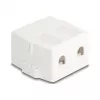Delock 85843 Keystone-tyhjä kotelo, 2-porttinen, magneettijalustalla, valkoinen