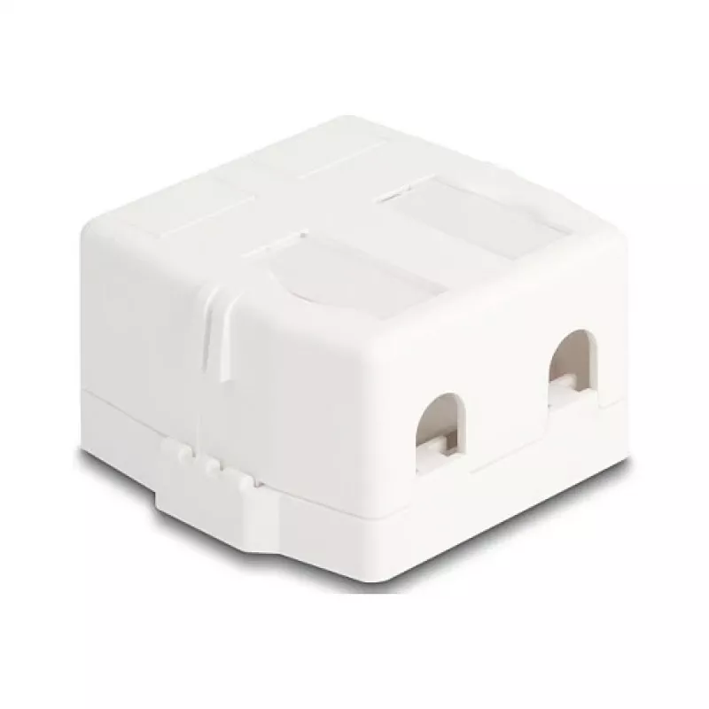 Delock 85843 Keystone-tyhjä kotelo, 2-porttinen, magneettijalustalla, valkoinen