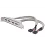 Korttipaikkakaapeli USB 2.0 HighSpeed tyyppi 2xIDC (5pin)/4xUSB A M/F harmaa 0,25 m