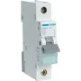 Johdonsuojakatkaisija Hager MBN110 1P, 10 A, 50–60 Hz